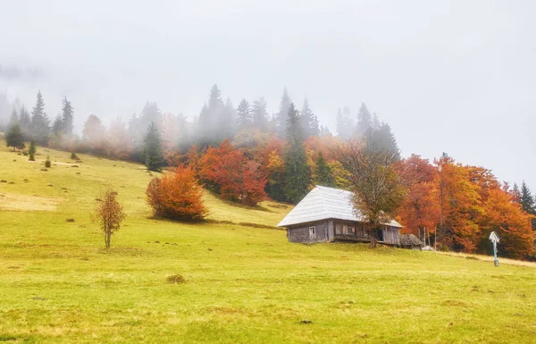 Colorful autumn landscape in the mountain village. Foggy morning — Stock Photo, Image