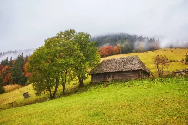Красочный осенний пейзаж в горной деревне. Туманное утро — стоковое фото