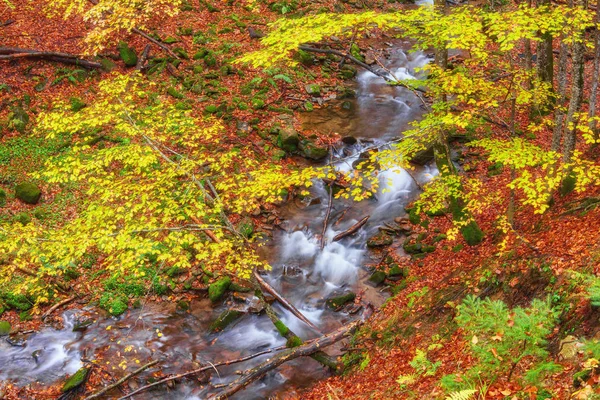 Piękny wodospad w lesie — Zdjęcie stockowe