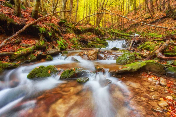 Bosques de arroyo otoñal con árboles amarillos follaje y rocas en el bosque — Foto de Stock