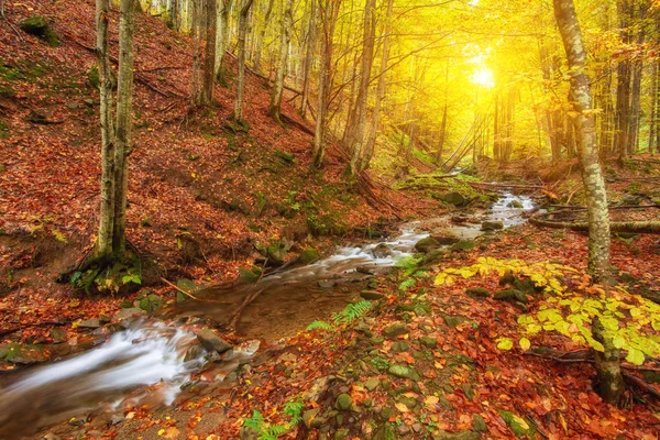 Hızlı dağ nehir Güz. — Stok fotoğraf