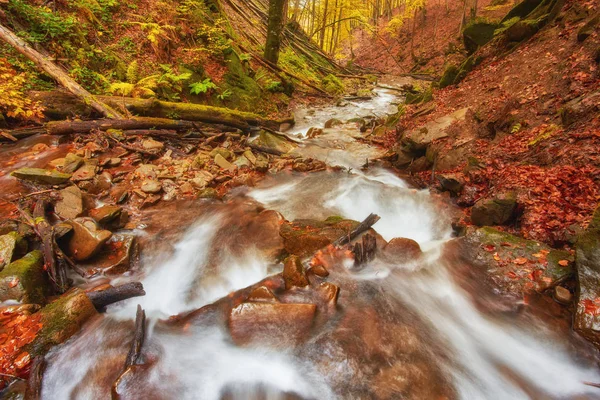 Orman, altın sonbahar Avrupa peyzaj sonbahar stream — Stok fotoğraf