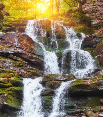 Ormanda güzel bir şelale