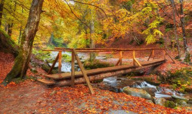 Sonbahar manzarası - Sonbahar parkında ahşap köprü