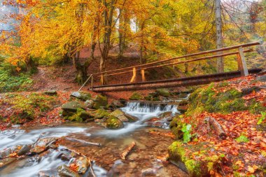 Brook sonbaharda üzerinde ahşap köprü