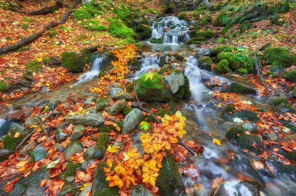 Rapid mountain river in autumn. — Stock Photo, Image