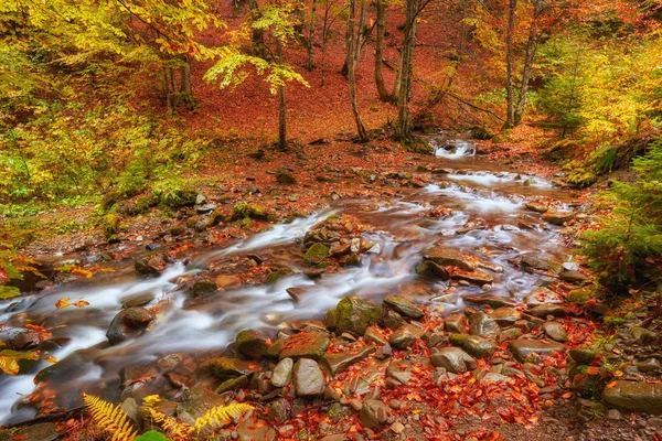 Rapid mountain river in autumn. — Stock Photo, Image