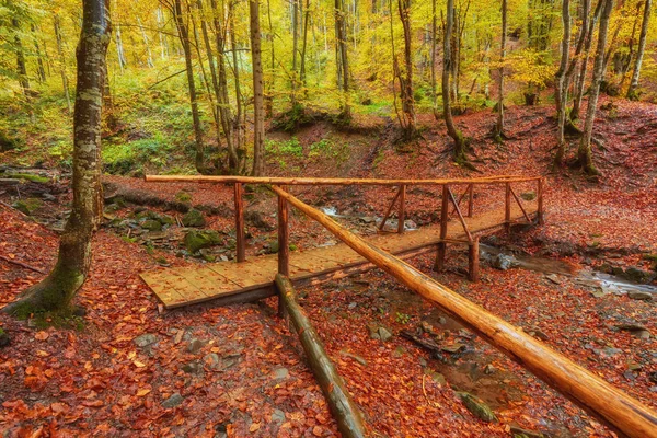 Paisaje otoñal - puente de madera en el parque otoñal — Foto de Stock