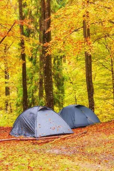 Campamento turístico en el bosque otoñal con follaje rojo y amarillo . — Foto de Stock