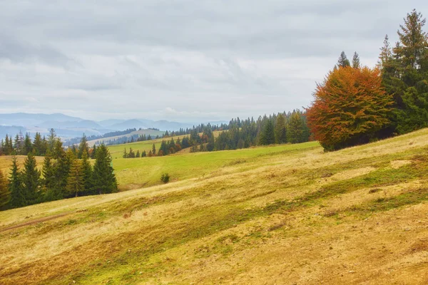 Erstaunliche Berglandschaft mit Nebel und Heuhaufen — Stockfoto