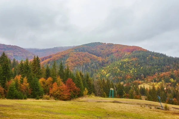 Herfst landschap in mistige hout — Stockfoto