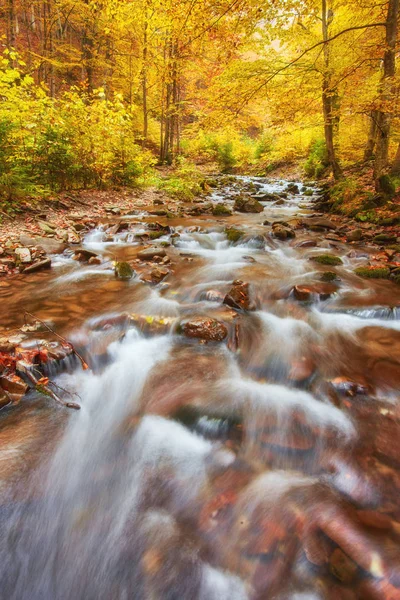 Herbst Bach im Wald, Gold Herbst europäische Landschaft — Stockfoto