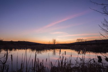 Bahar ve nehir orman. 