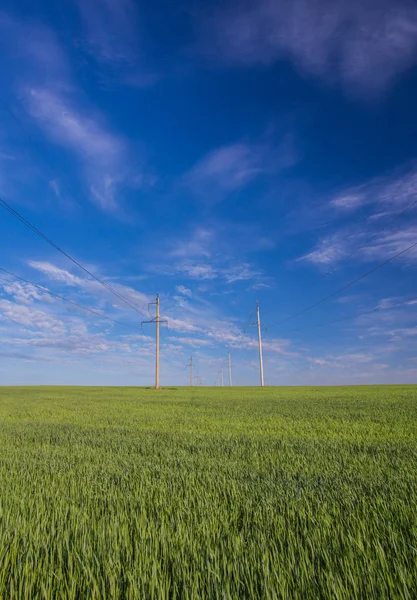 Powerline op een brede groene veld. — Stockfoto