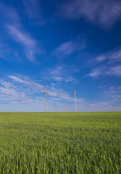 Stromleitung auf der grünen Wiese. — Stockfoto