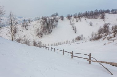 Güzel kış manzarası