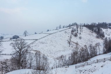 Çit ve yolu ile kırsal Alpin kış manzarası