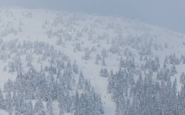 Güzel kış manzarası