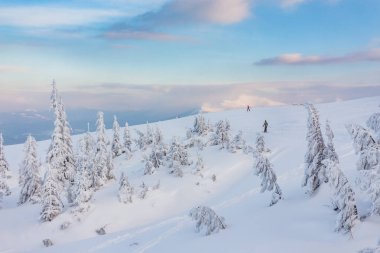 Güzel kış manzarası