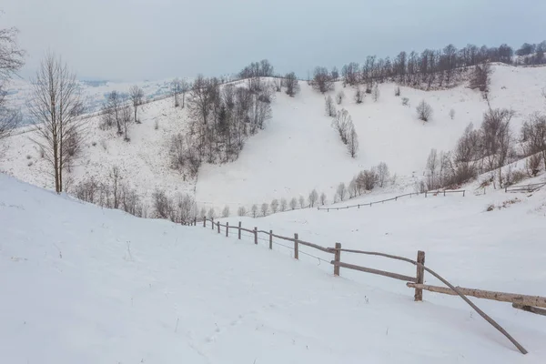 Güzel kış manzarası