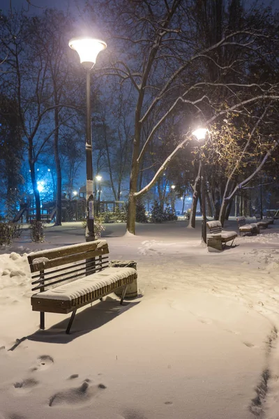 Ландшафт зимней ночи - скамейка под деревьями и сияющая уличная крышка — стоковое фото