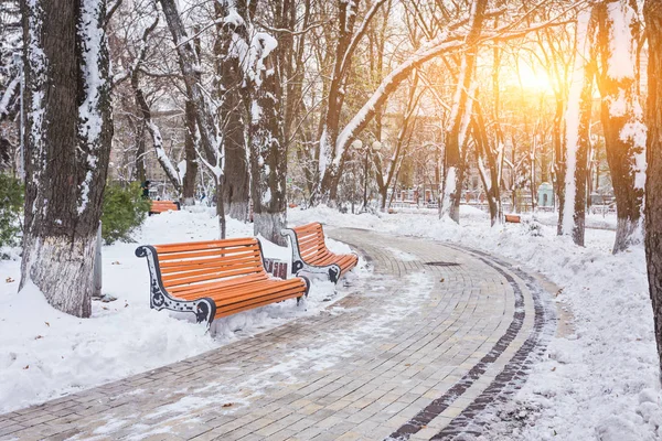 Sokakta park banklar ile kış manzarası — Stok fotoğraf