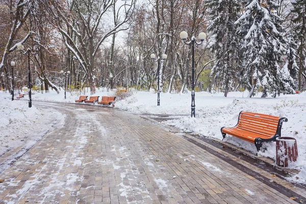 공원에는 골목 벤치와 겨울 풍경 — 스톡 사진