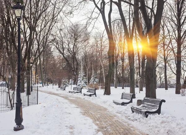 공원에는 골목 벤치와 겨울 풍경 — 스톡 사진