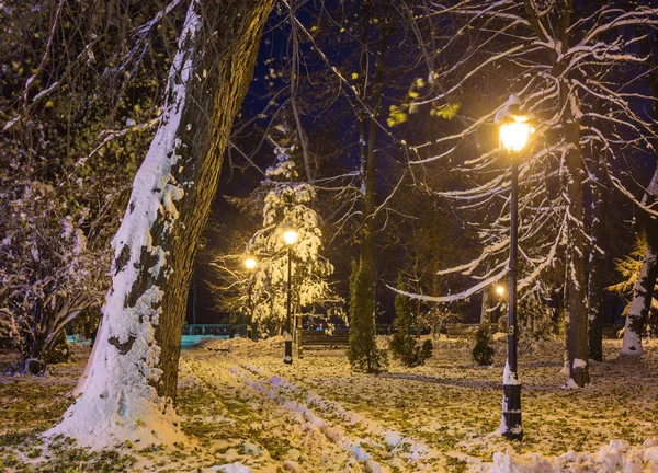 Winternachtlandschaft - Bank unter Bäumen und leuchtende Straße — Stockfoto