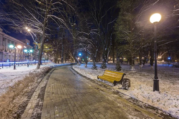 겨울 밤 풍경-벤치에서 나무와 빛나는 거리 lig — 스톡 사진