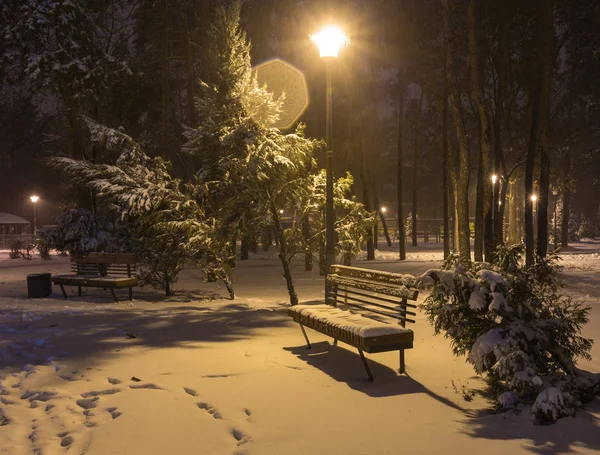 Ландшафт зимней ночи - скамейка под деревьями и сияющие уличные огни, падающие снежинки . — стоковое фото