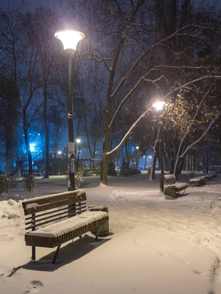 Zimowa noc krajobraz Ławka pod drzewami i błyszczący street lights spadające płatki śniegu. — Zdjęcie stockowe