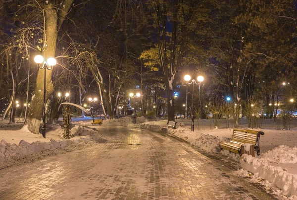 Kış gece manzara-tezgah ağaçlar ve parlayan sokak altında düşen kar taneleri ışıklar. — Stok fotoğraf