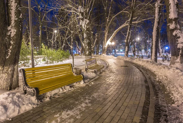 Ландшафт зимней ночи - скамейка под деревьями и сияющие уличные огни, падающие снежинки . — стоковое фото