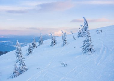 harika sabah dağ manzarası. renkli gökyüzü bulutlu. Karpat, Ukrayna, Avrupa.