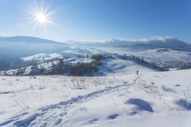Kış manzarası ile lots-in kar ve ağaçlar