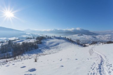 Kış manzarası ile lots-in kar ve ağaçlar