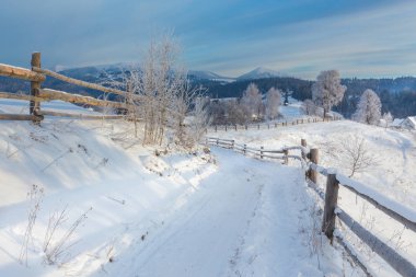 Güzel kış manzarası