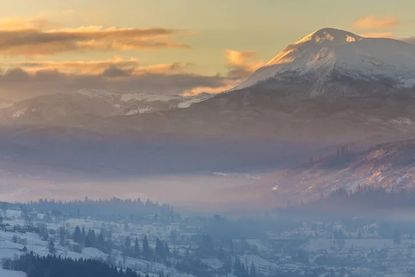 Strom v zimě při západu slunce v horách. — Stock fotografie