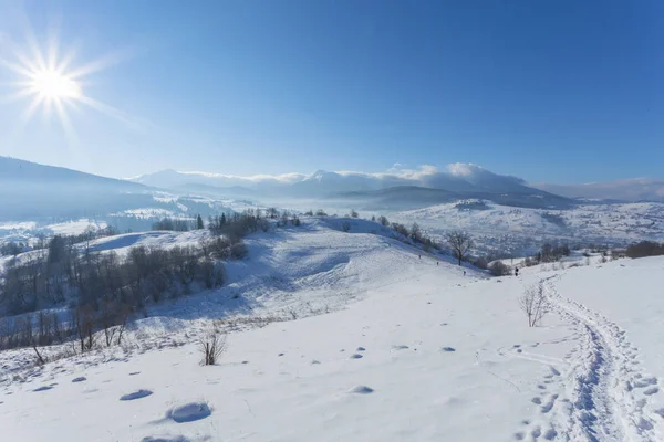 Kış manzarası ile lots-in kar ve ağaçlar