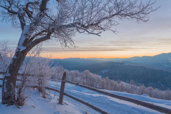 Красивый зимний пейзаж в горах. — стоковое фото