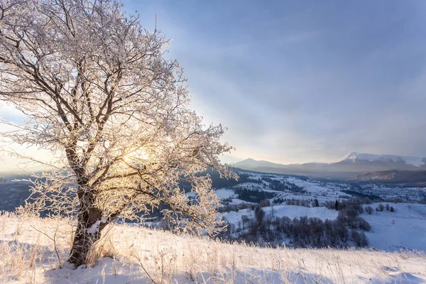 Beautiful winter landscape in the mountains. — Stock Photo, Image