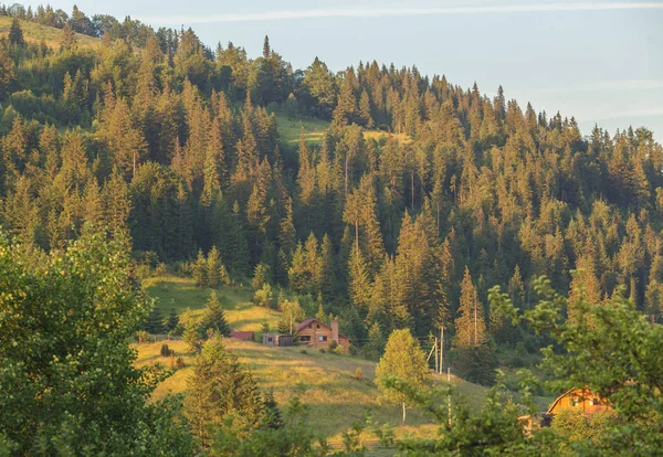 Güneş ışığı tarafından alacakaranlık parlayan Woods görkemli manzara. Dramatik ve pitoresk sabah sahne. — Stok fotoğraf