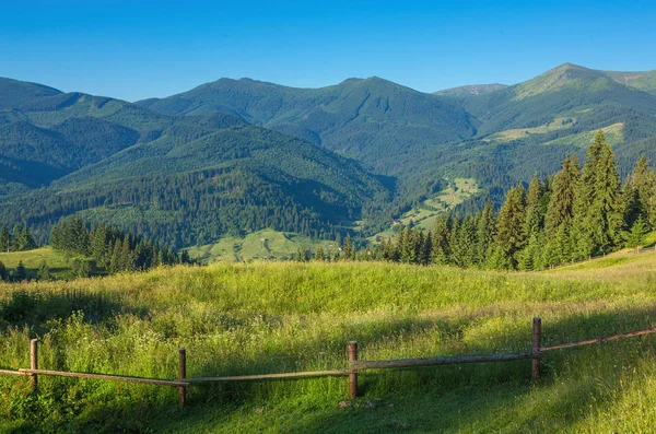 Majestätisk utsikt över skogen glöder av solljus på twilight. Dramatiska och pittoreska morgon scen. — Stockfoto