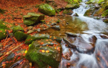 hızlı dağ nehir Güz.