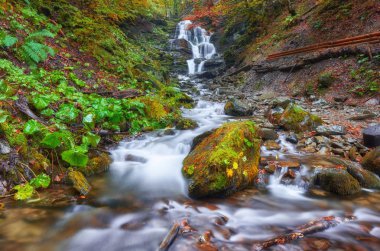 Güzel şelale ile kırmızı ve turuncu renkli sonbahar ormandaki nehir dağ, günbatımında bırakır.