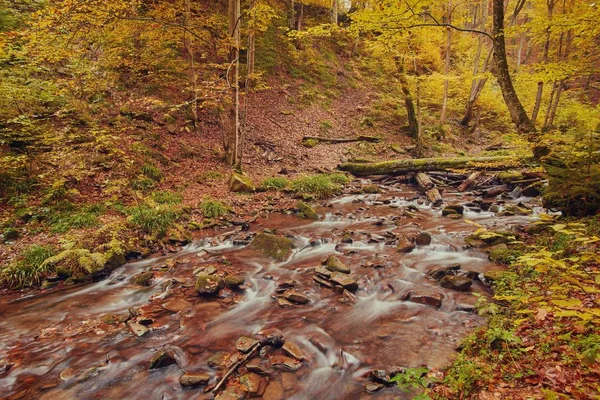 Fiume di montagna rapido in autunno . — Foto Stock