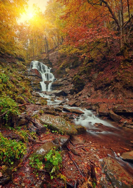 Schöner Wasserfall am Gebirgsfluss in buntem Herbstwald mit roten und orangen Blättern bei Sonnenuntergang. — Stockfoto