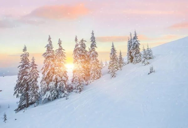 Kış dağlarda görkemli günbatımı