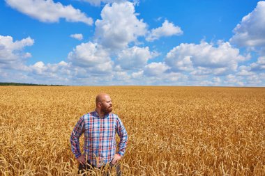 Bir buğday tarlasında duran çiftçi